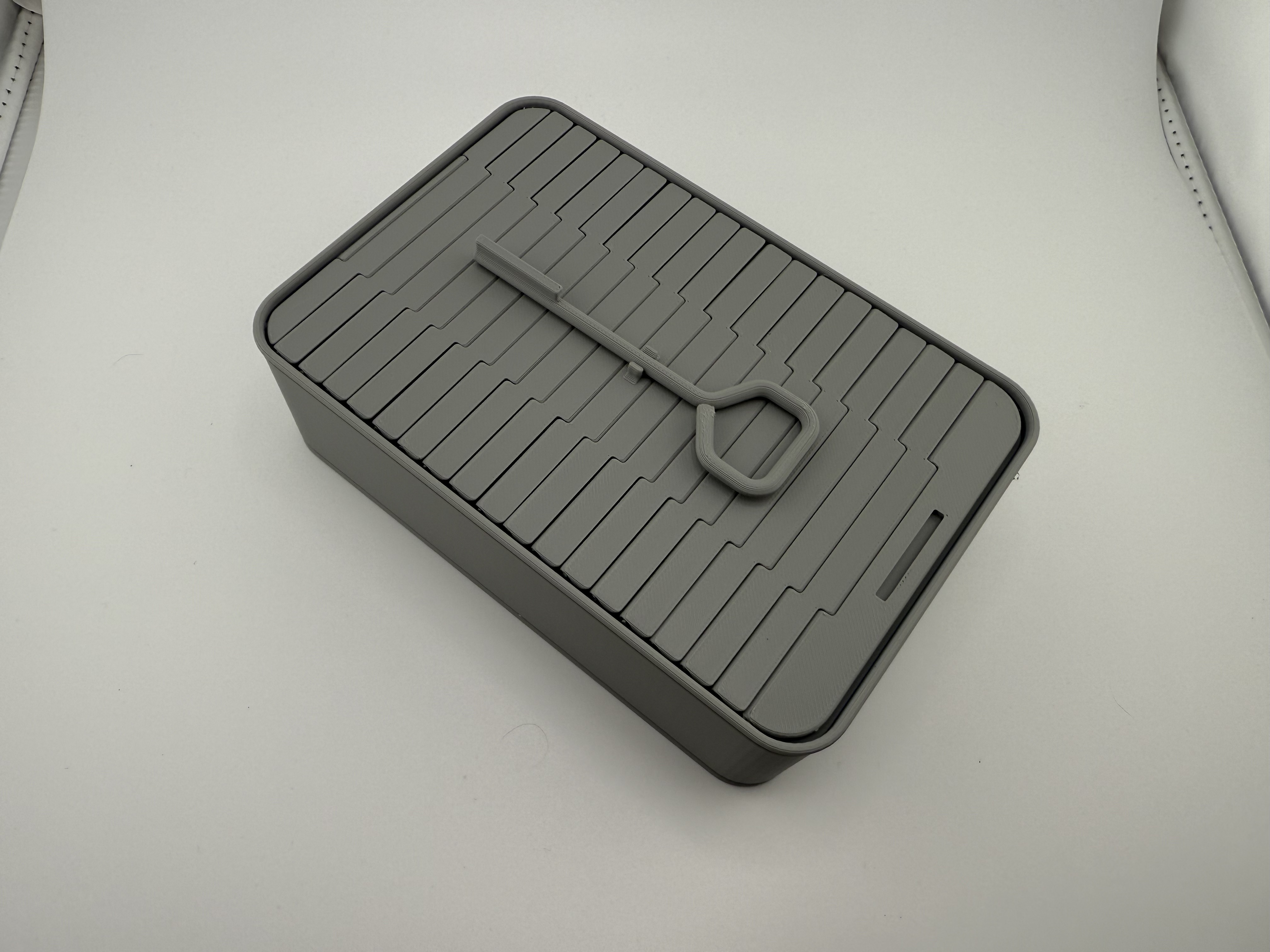 Sardine Can