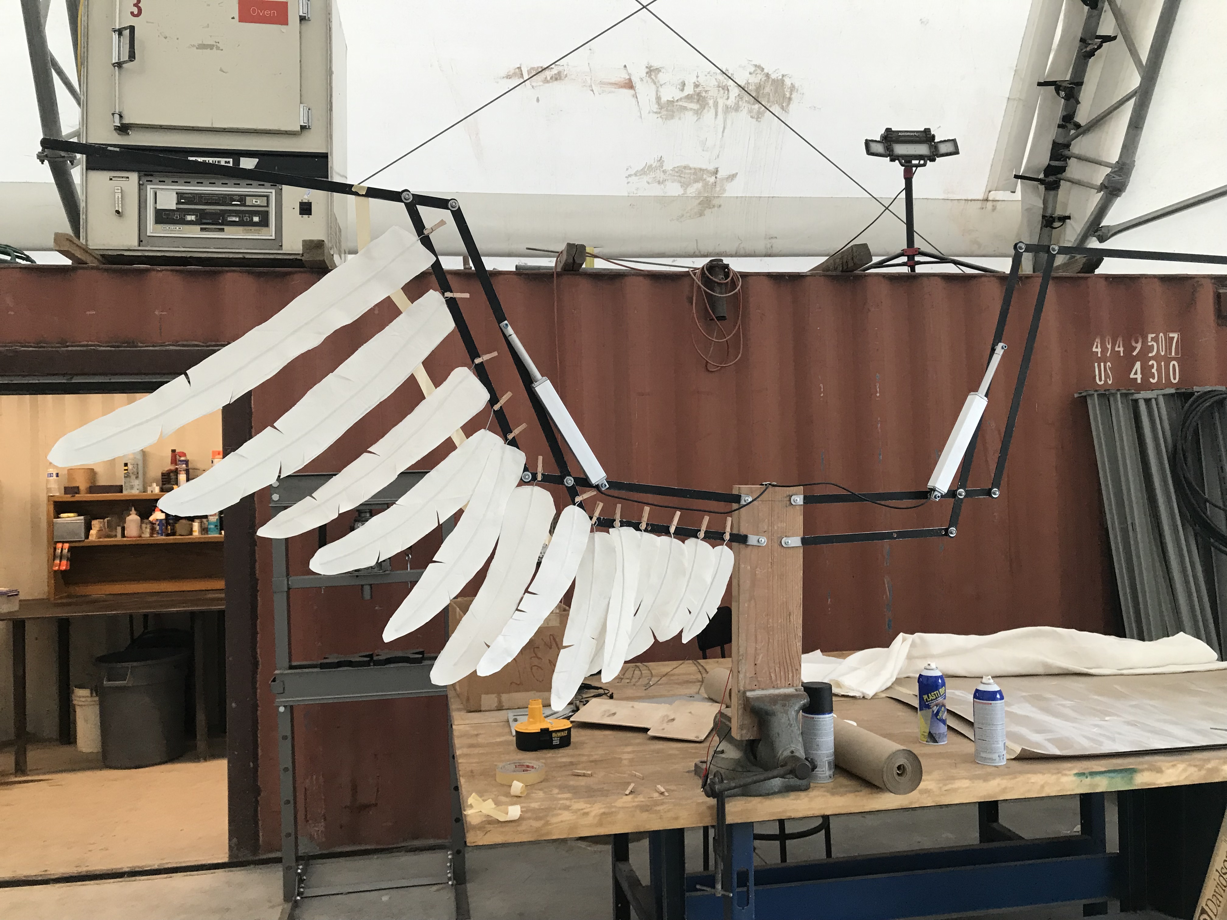 Angel Wings