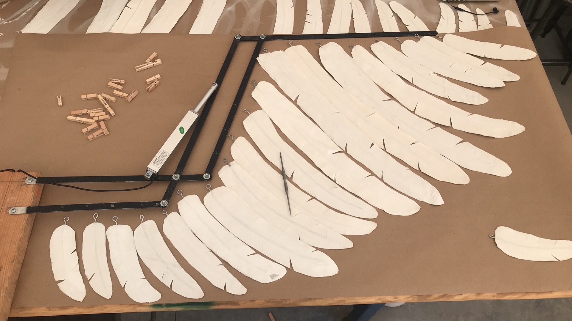 Angel Wings